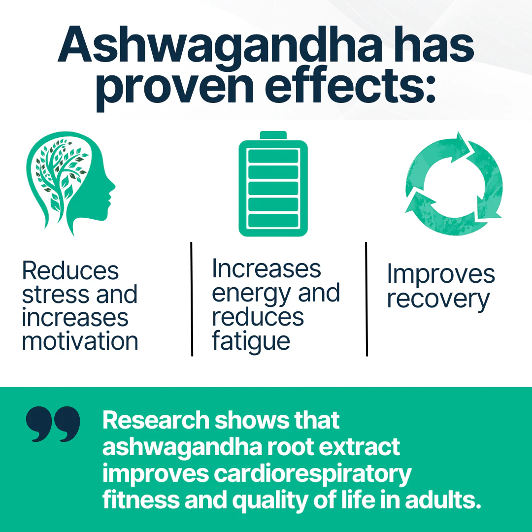 Ashwagandha - Image 4