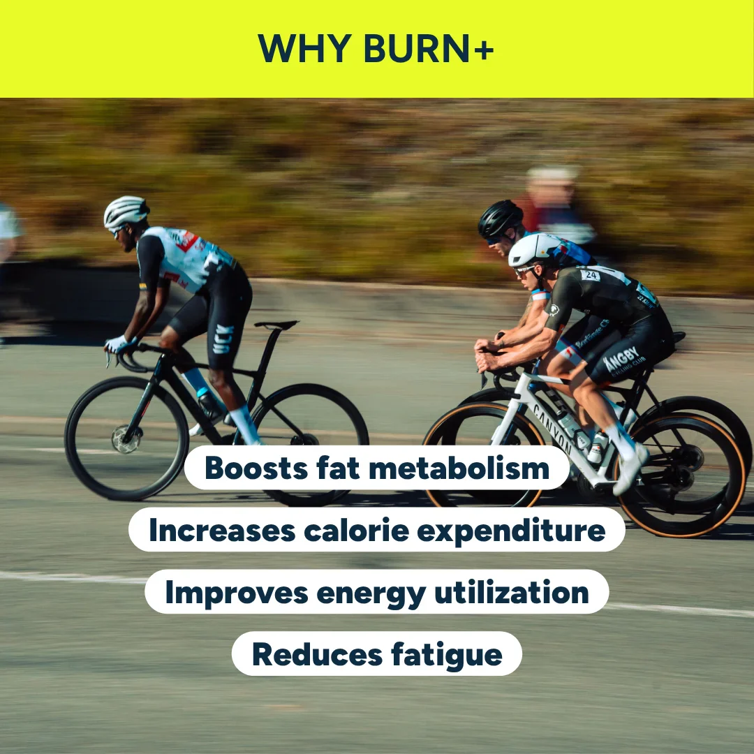Burn+ - Image 3